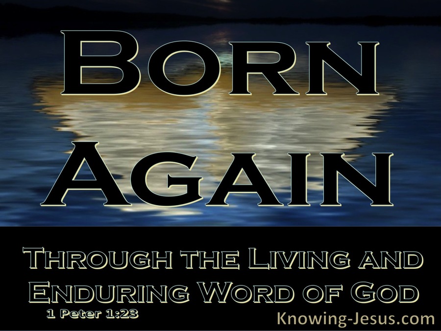 1 Peter 1:23 Born Again Of The Imperishable Word Of God (black)